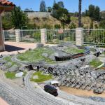 Tortoise_025 (June 17, 2017)